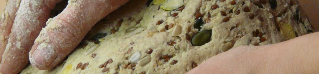 imagem mostra as mãos de um padeiro sovando um pão de sementes de abóbora, remetendo a profissão que deu origem ao sobrenome Becker