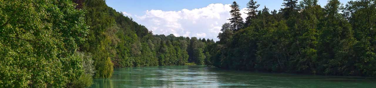 Imagem mostra região ribeirinha, fazendo alusão ao sobrenome ribeiro