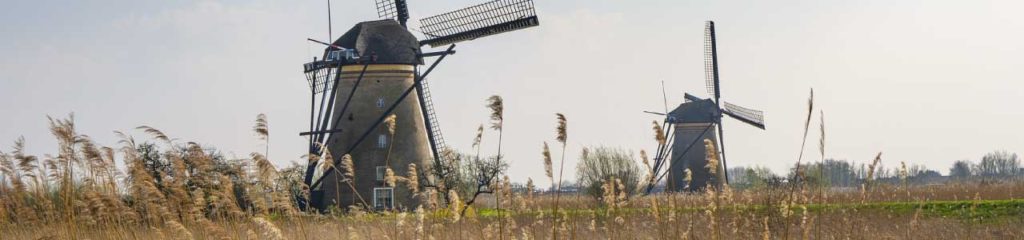 foto mostra dois moinhos, remetendo a profissão de moleiro, que deu origem aos sobrenomes muller