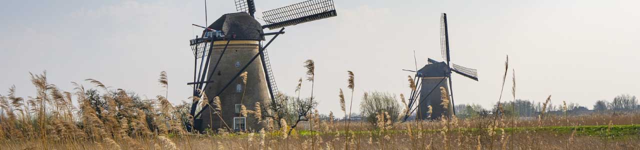 foto mostra dois moinhos, remetendo a profissão de moleiro, que deu origem aos sobrenomes muller