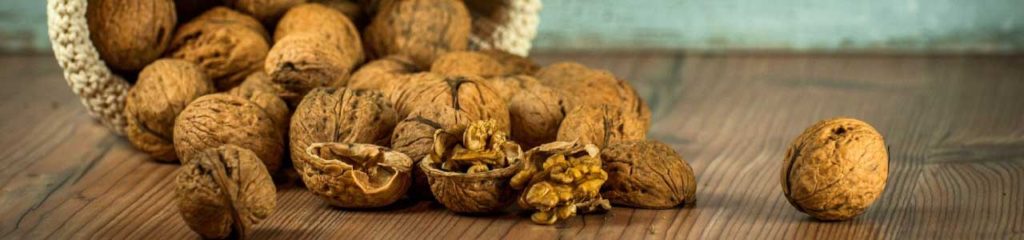 Imagem de um saco de nozes no chão, representando a origem do sobrenome nogueira