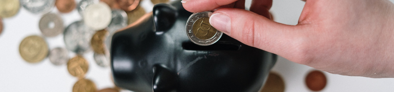 A imagem mostra uma pessoa colocando uma moeda em seu cofrinho em formato de porco, fazendo alusão a origem do sobrenome duarte: guardião de riquezas