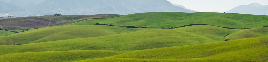 Extenso campo de grama com montanhas ao fundo