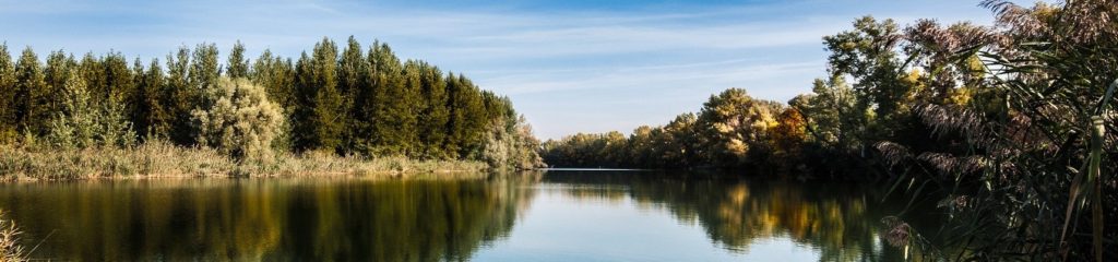 Imagem de um rio com árvores a suas margens.