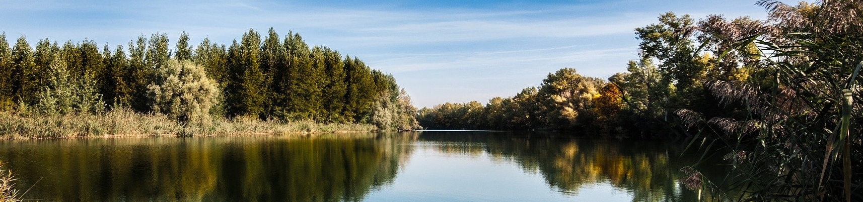 Imagem de um rio com árvores a suas margens.