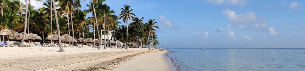 Imagem de uma praia de areia com palmeiras.