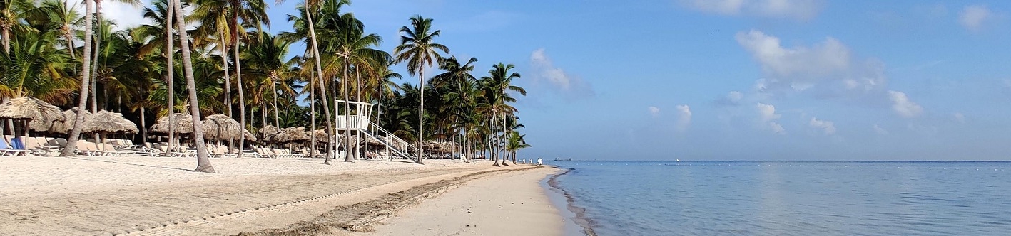Imagem de uma praia de areia com palmeiras.