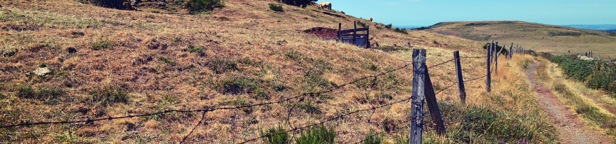 Foto do Maciço Central em Aubrac, na região centro-sul da França.