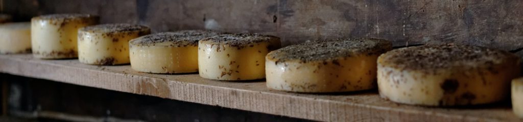 Prateleira com várias peças de queijo.