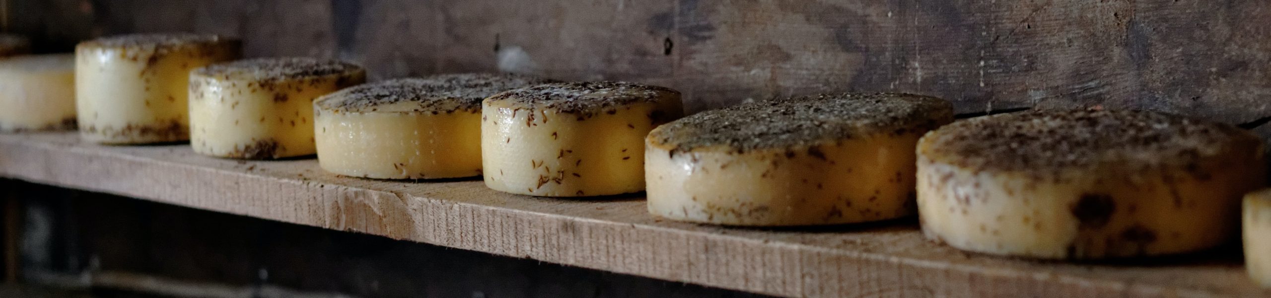 Prateleira com várias peças de queijo.