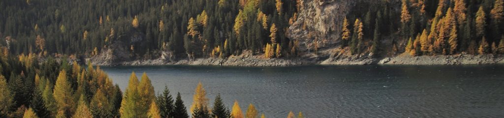 Imagem de um lago com várias árvores às margens.