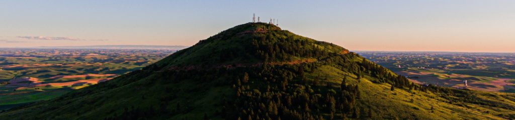 Foto de uma colina com árvores e grama. Ao fundo, um céu sem nuvens.