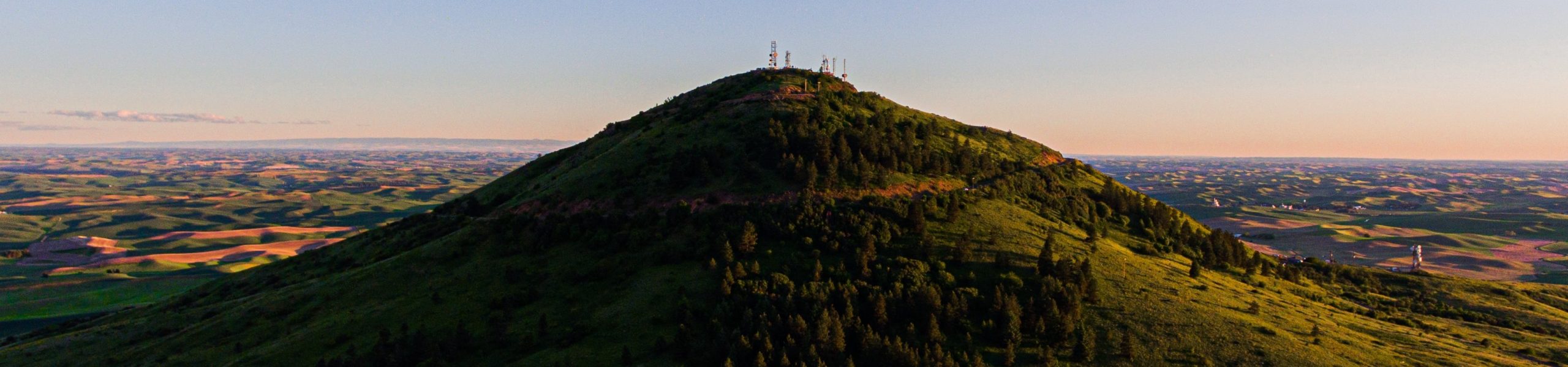 Foto de uma colina com árvores e grama. Ao fundo, um céu sem nuvens.