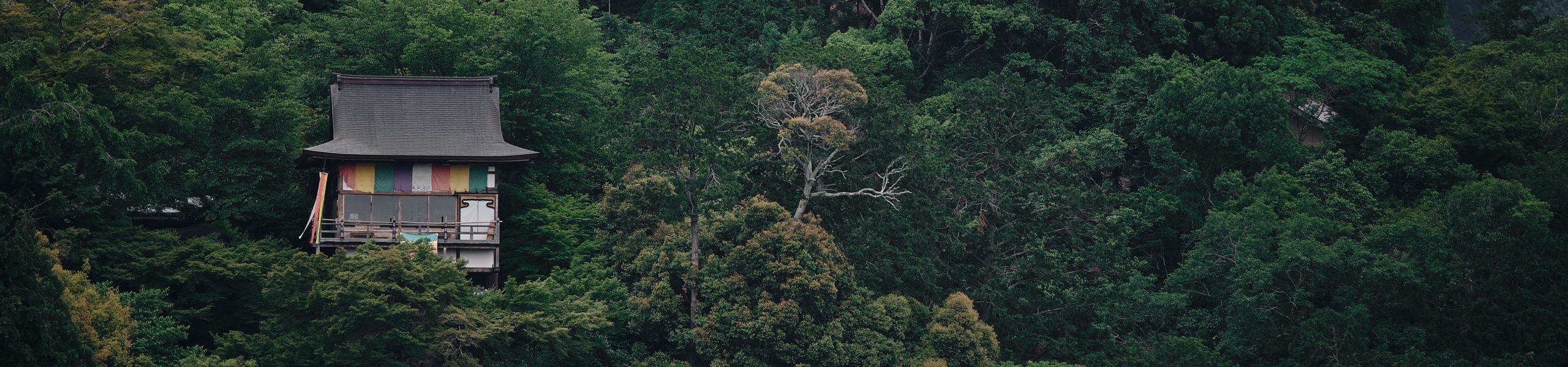 Imagem de uma casa em meio a várias árvores na cidade de Nago, província de Okinawa, Japão.