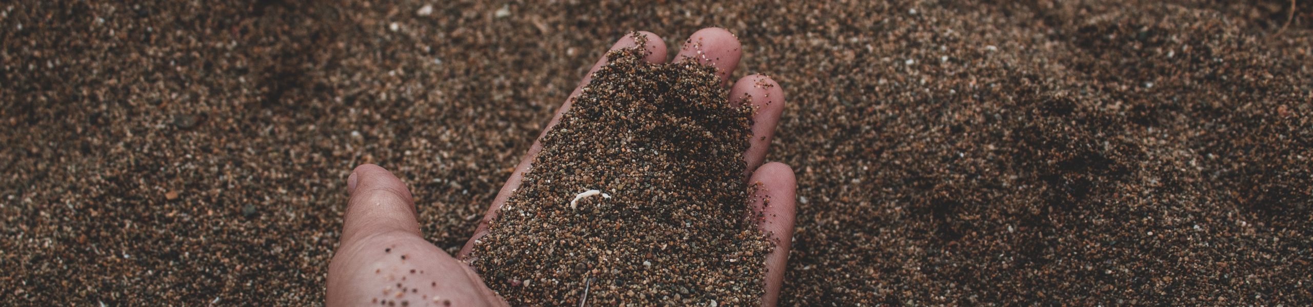 Palma da mão esquerda de uma pessoa segurando um punhado de terra.