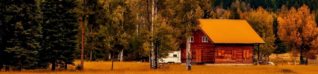 Imagem de uma casa de madeira em meio a várias árvores com folhas secas.