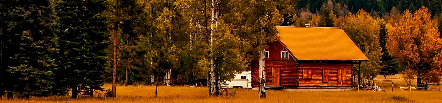 Imagem de uma casa de madeira em meio a várias árvores com folhas secas.