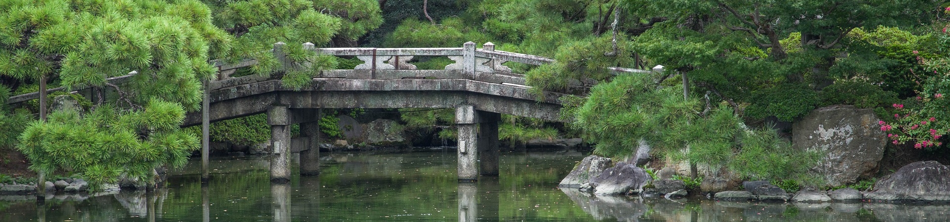 Imagem de uma ponte de pedra em meio à vegetação.