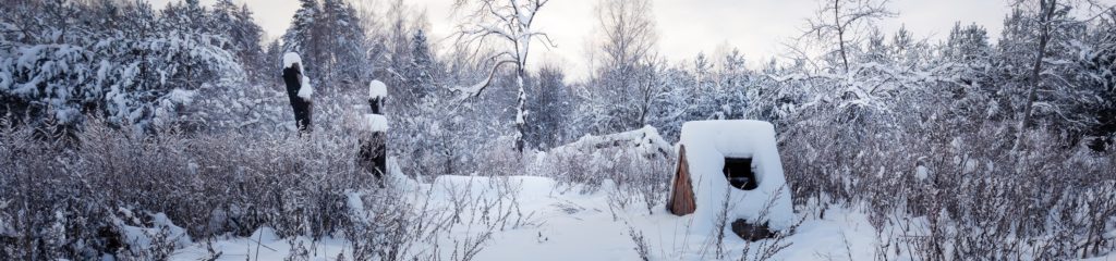 Imagem de uma pequena construção de madeira e de várias árvores secas sob a neve.