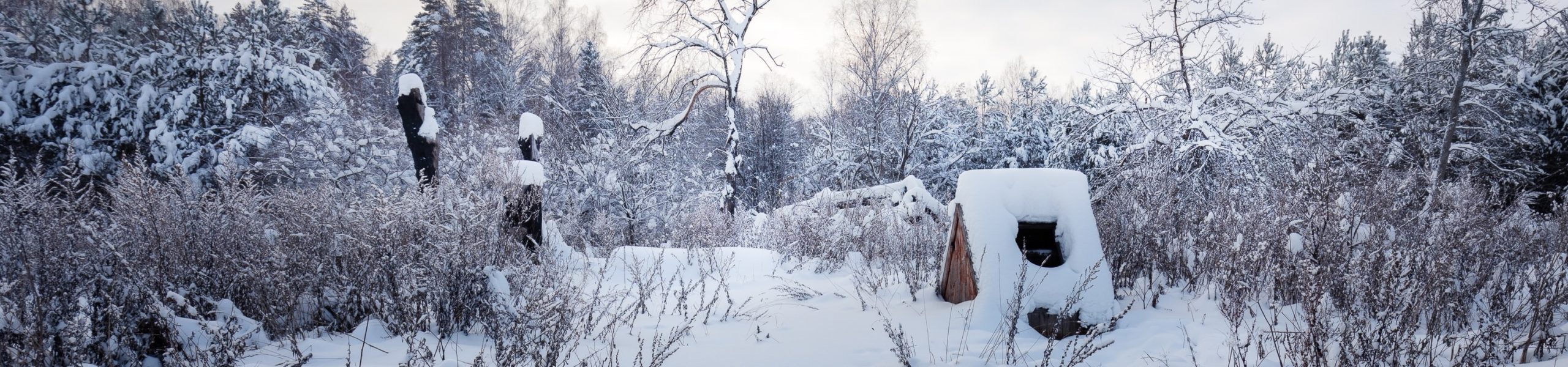 Imagem de uma pequena construção de madeira e de várias árvores secas sob a neve.