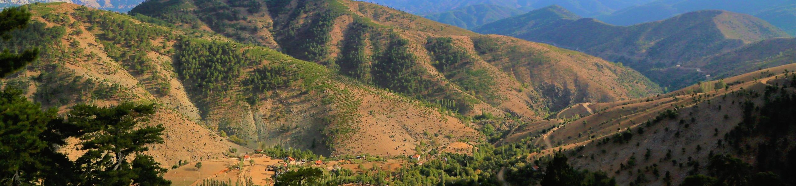 Foto de diversas montanhas cobertas por vegetação.