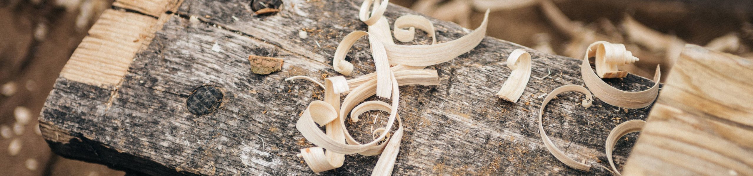 Imagem de um pedaço de madeira coberto por lascas do mesmo material.