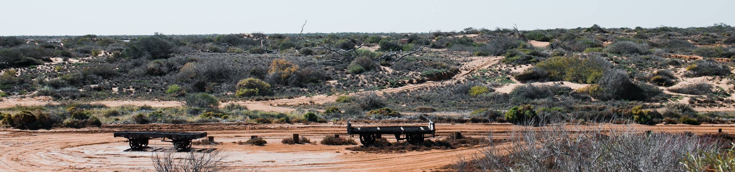 Terreno arenoso com vegetação rasteira.