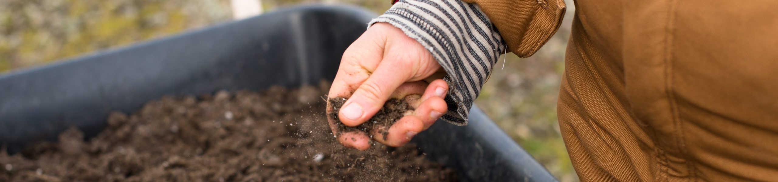 Pessoa com a mão em um vaso com terra