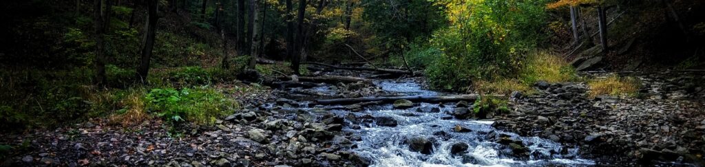 Riacho em Spencer Gorge Trail, Hamilton, Canadá