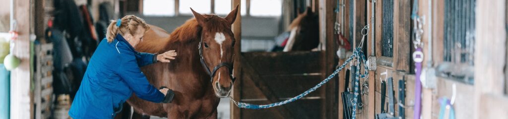 Mulher cuida de um cavalo em um estábulo