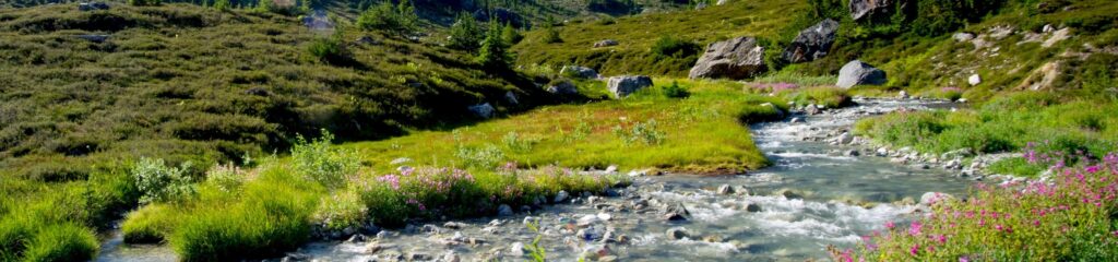 Córrego no Callaghan Lake, na Colúmbia Britânica, Canadá