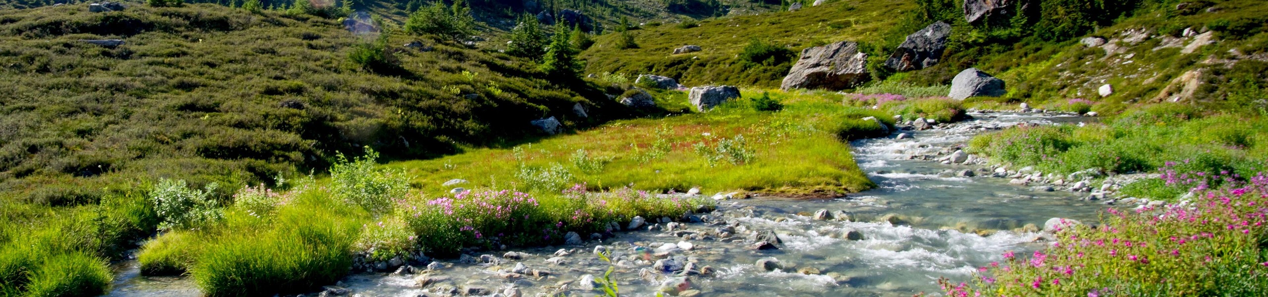 Córrego no Callaghan Lake, na Colúmbia Britânica, Canadá
