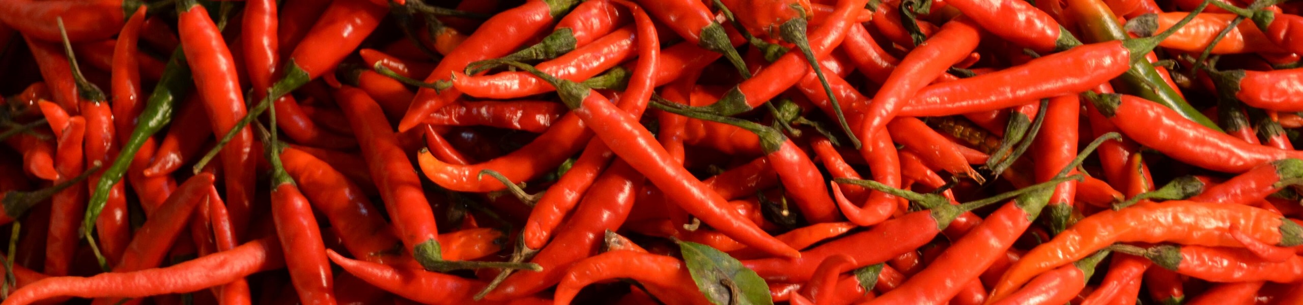 Cesto com pimentas vermelhas em Mandai, na Índia