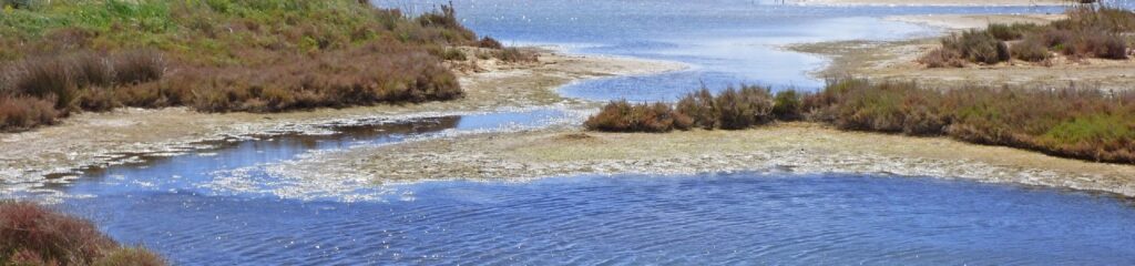 Delta do rio Ebro em Tarragona, Espanha